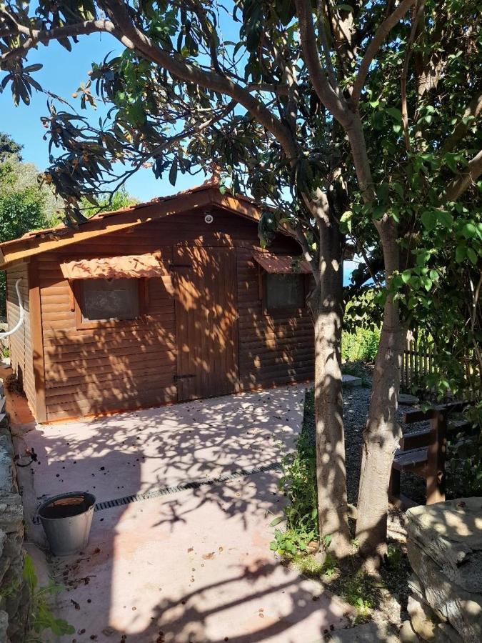 Casa Di Patouria , Stenies Andros Apikia  Eksteriør bilde