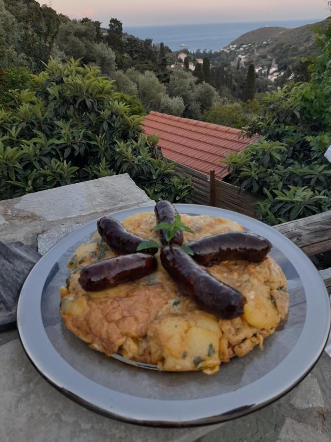 Casa Di Patouria , Stenies Andros Apikia  Eksteriør bilde